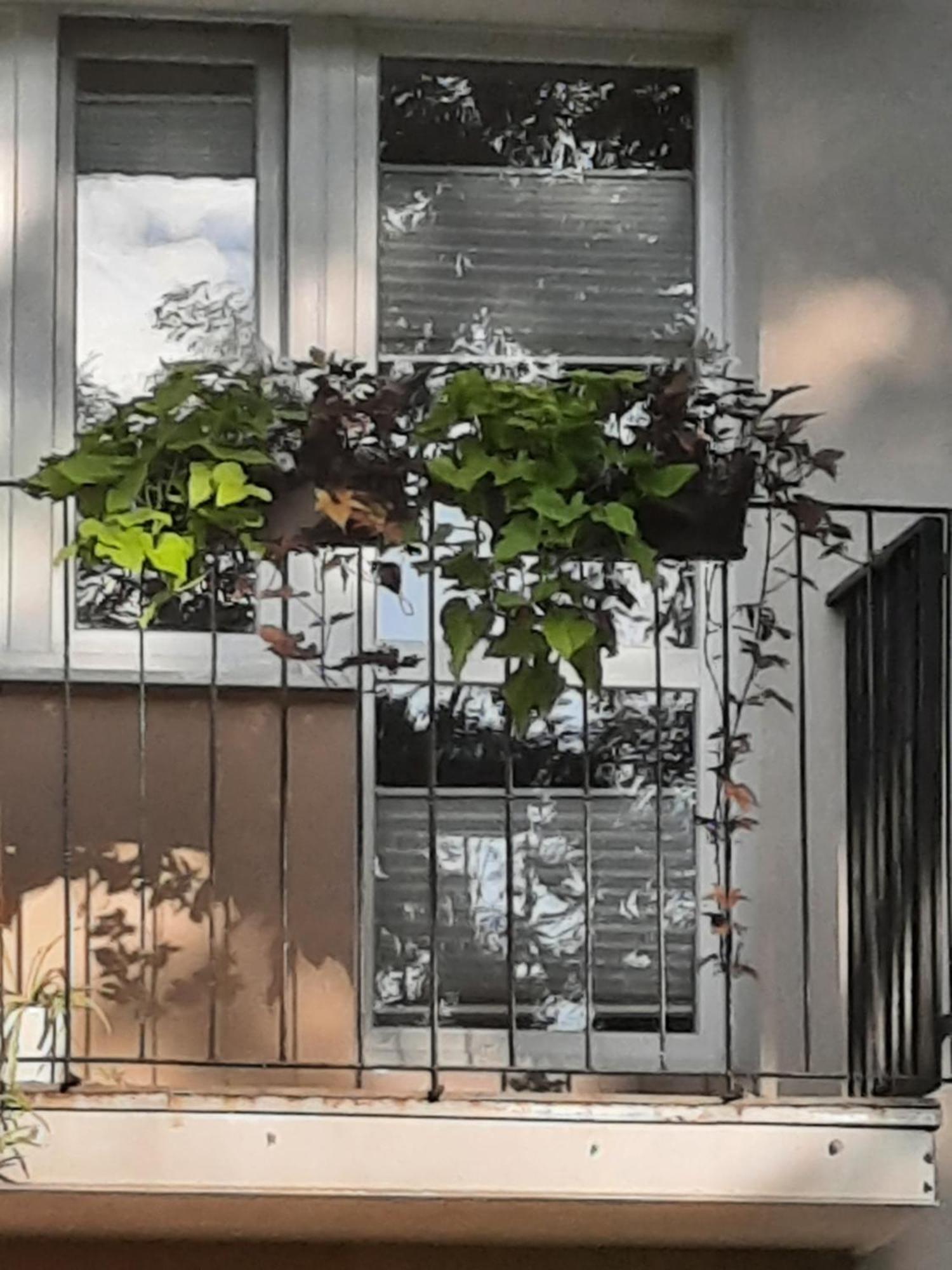 Apartament Jak W Domu Zamosc  Exterior photo
